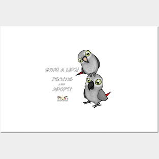 Save a Life!  Rescue & Adopt ~ African Grey Posters and Art